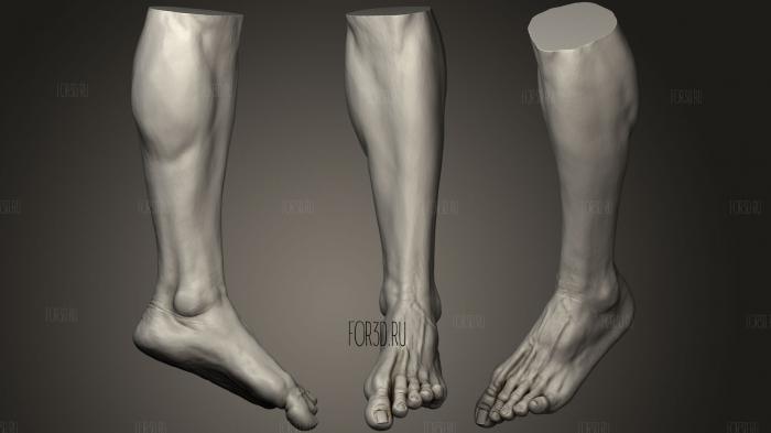 Male Foot 1216